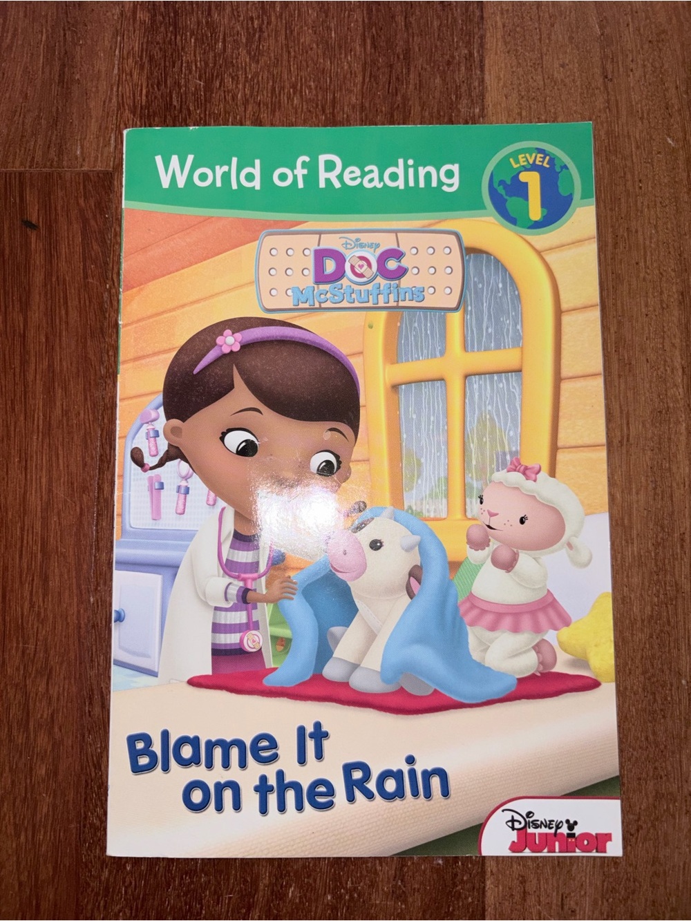 Disney  Junior World of Reading Blame it on the Rain Book